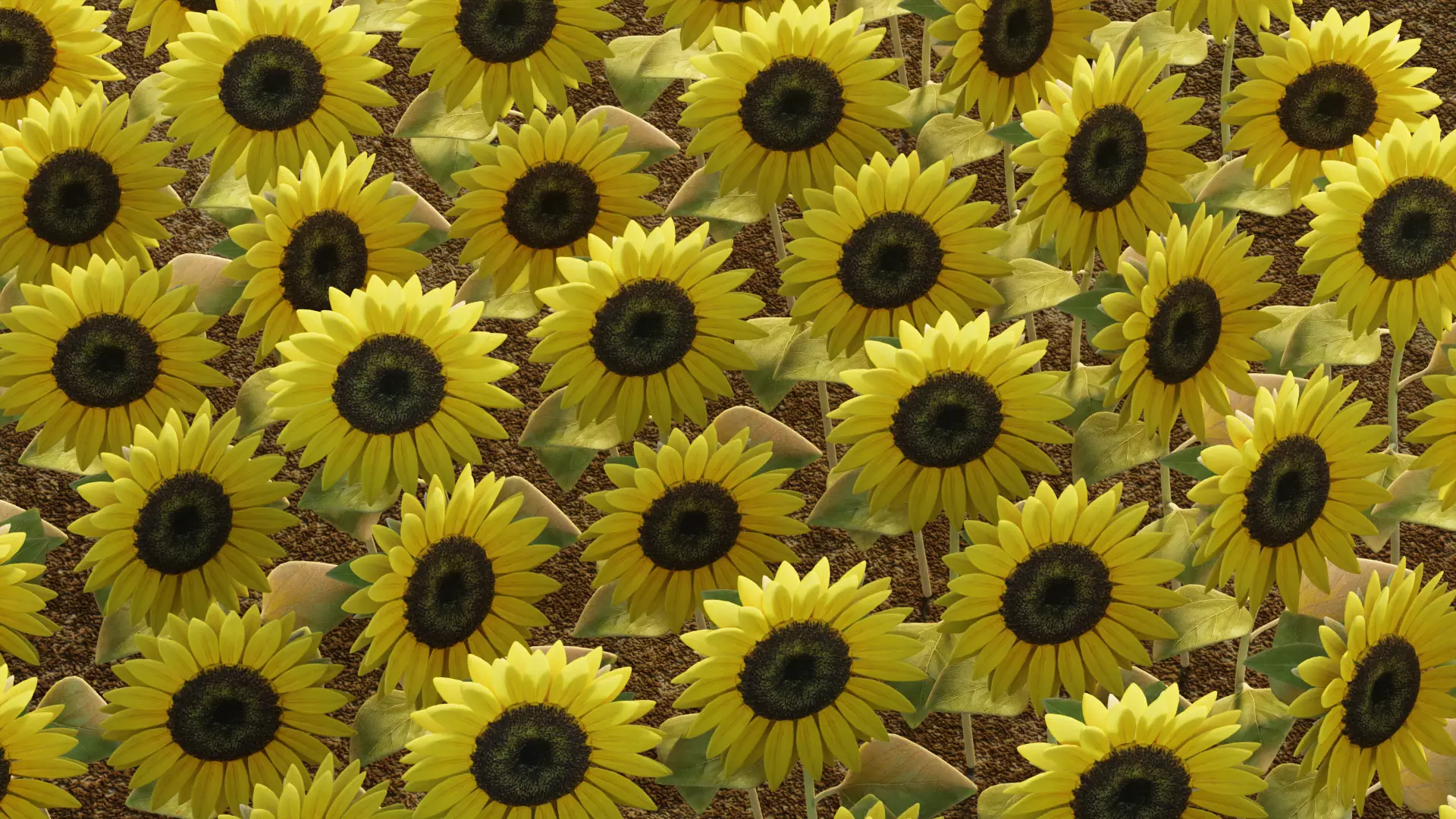 -Sunflower Field- 3D model_3
