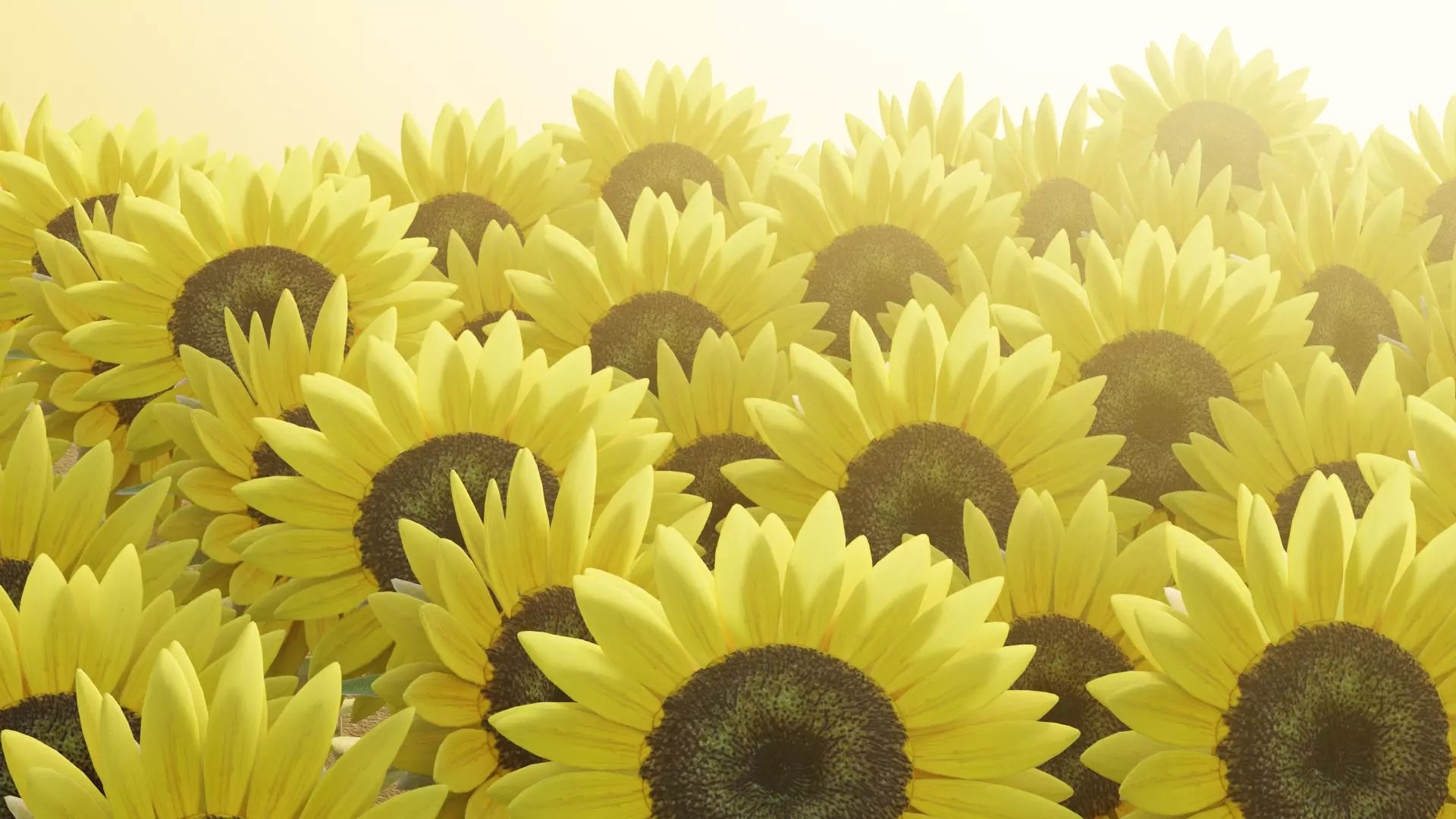 -Sunflower Field- 3D model_0