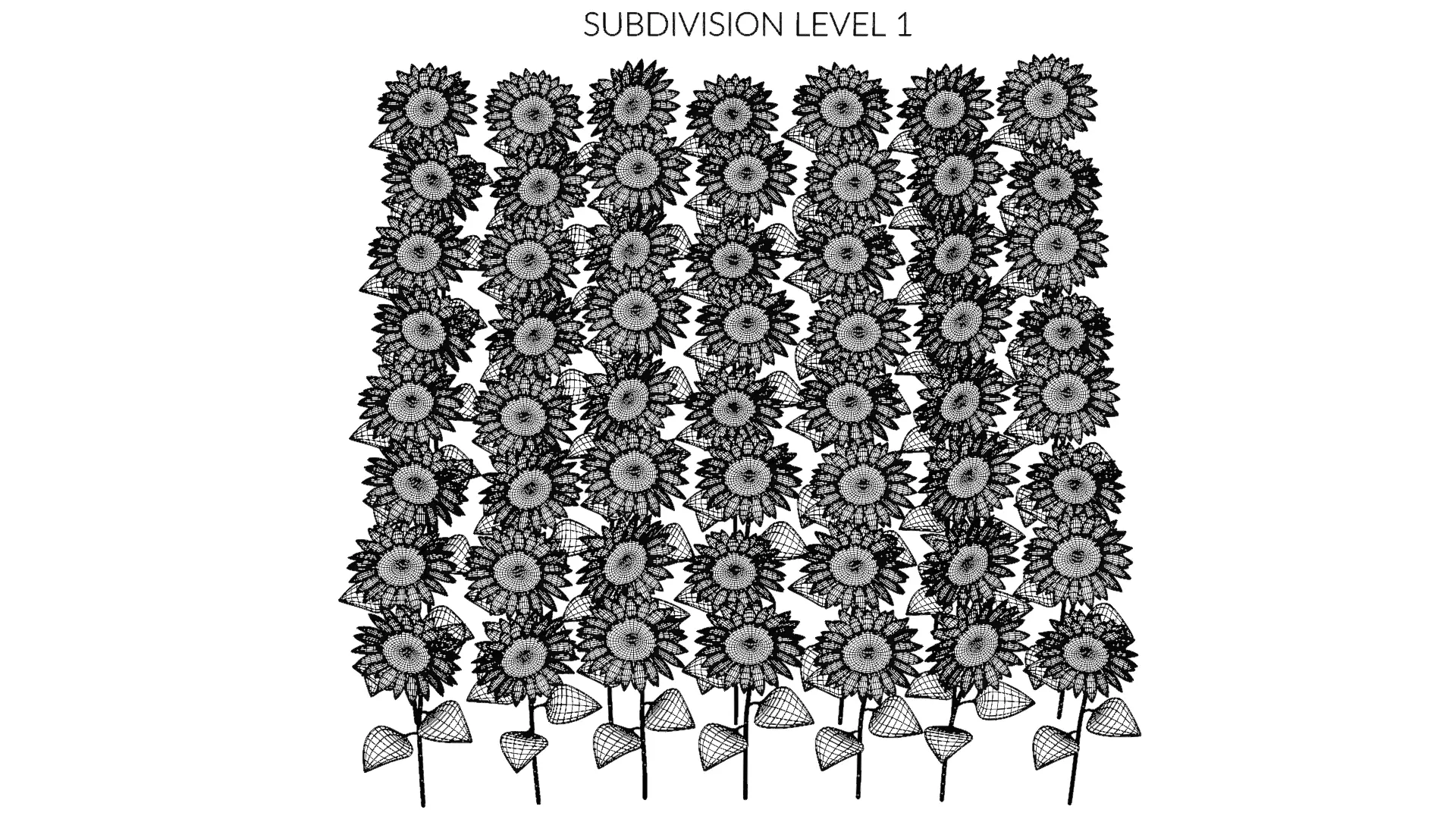 -Sunflower Field- 3D model_13