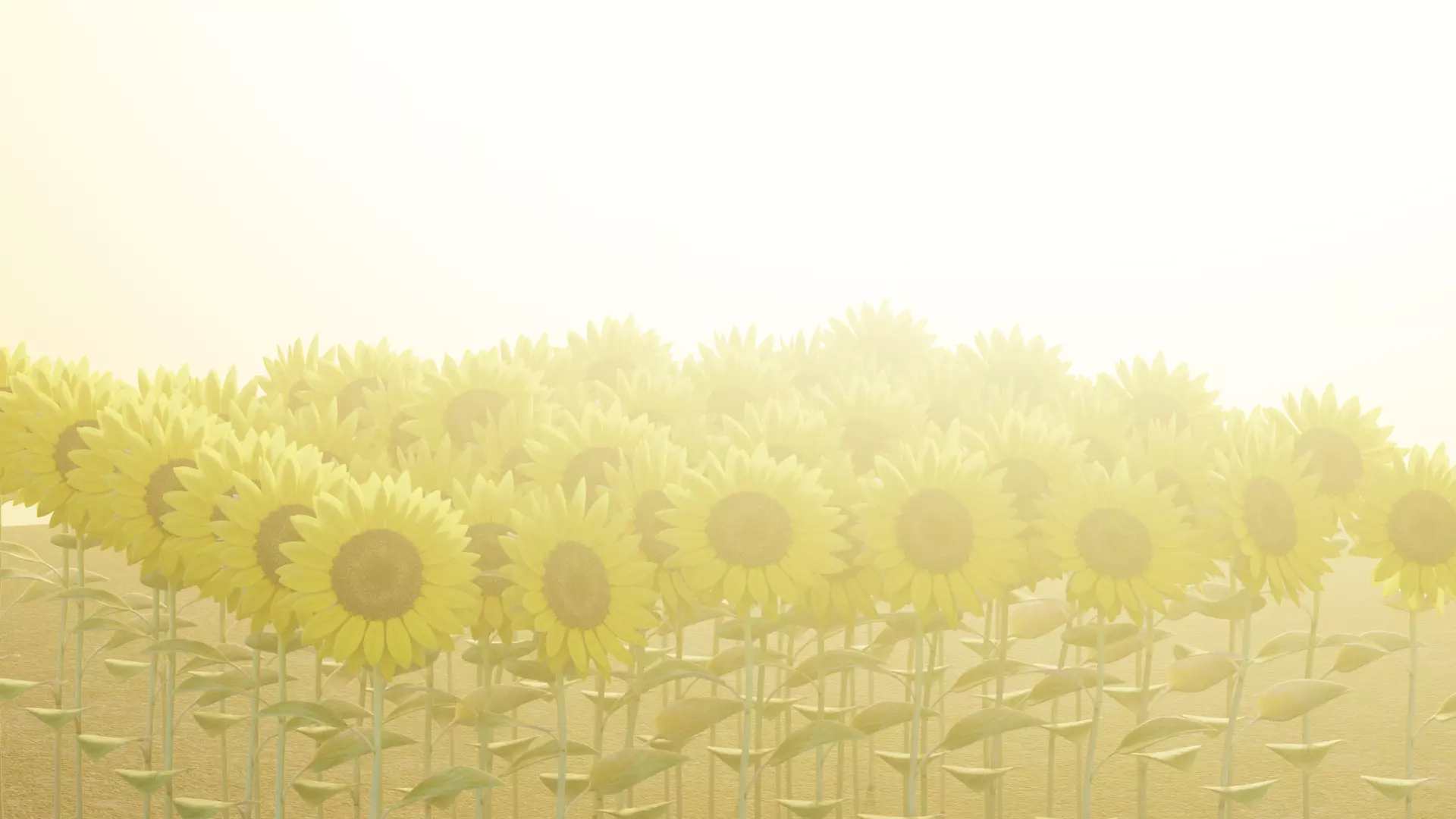-Sunflower Field- 3D model_2