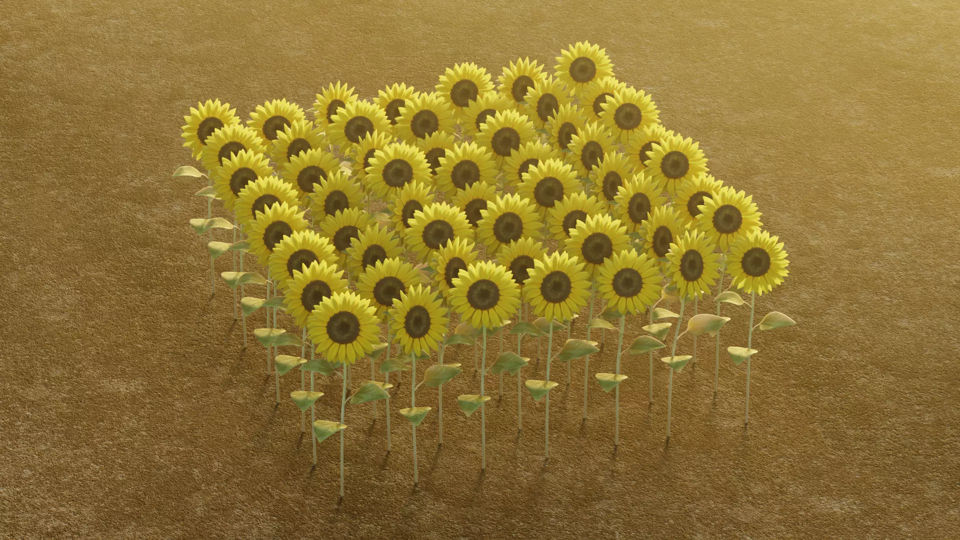 -Sunflower Field- 3D model_7