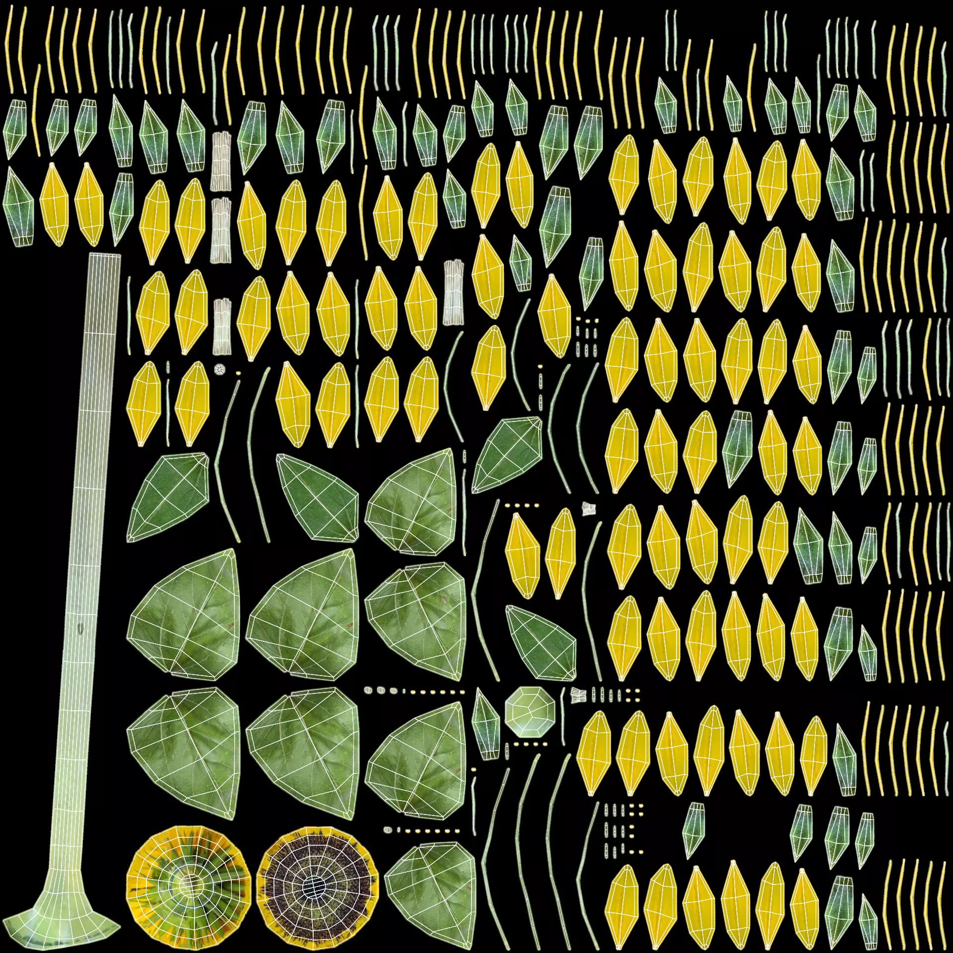 -Sunflower Field- 3D model_9