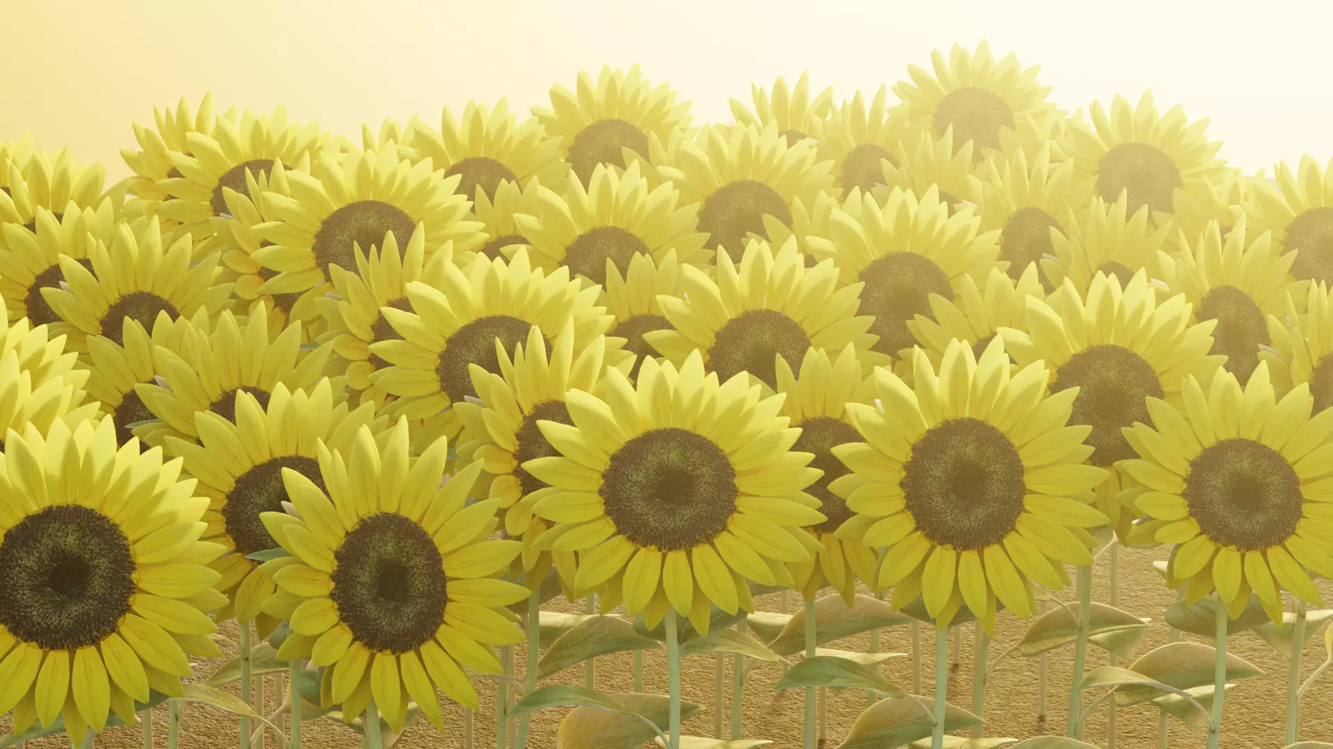 -Sunflower Field- 3D model_1