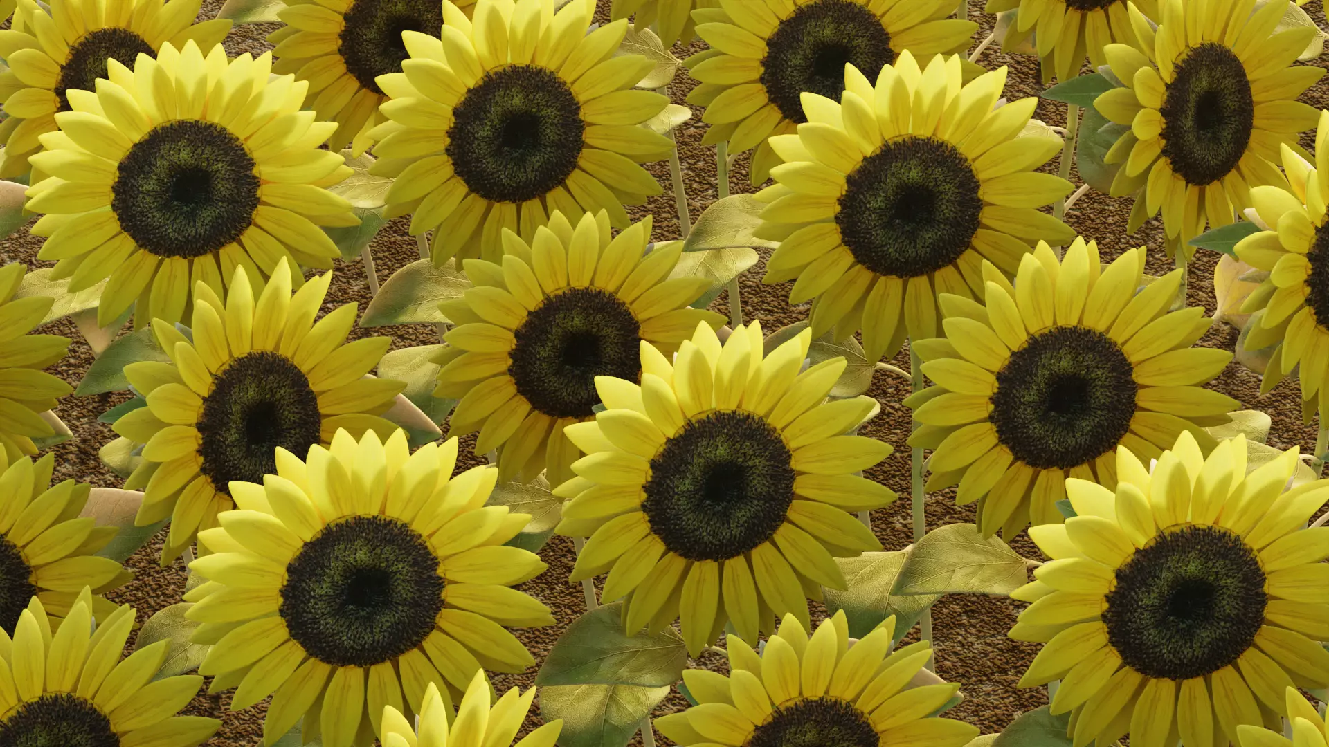 -Sunflower Field- 3D model_4