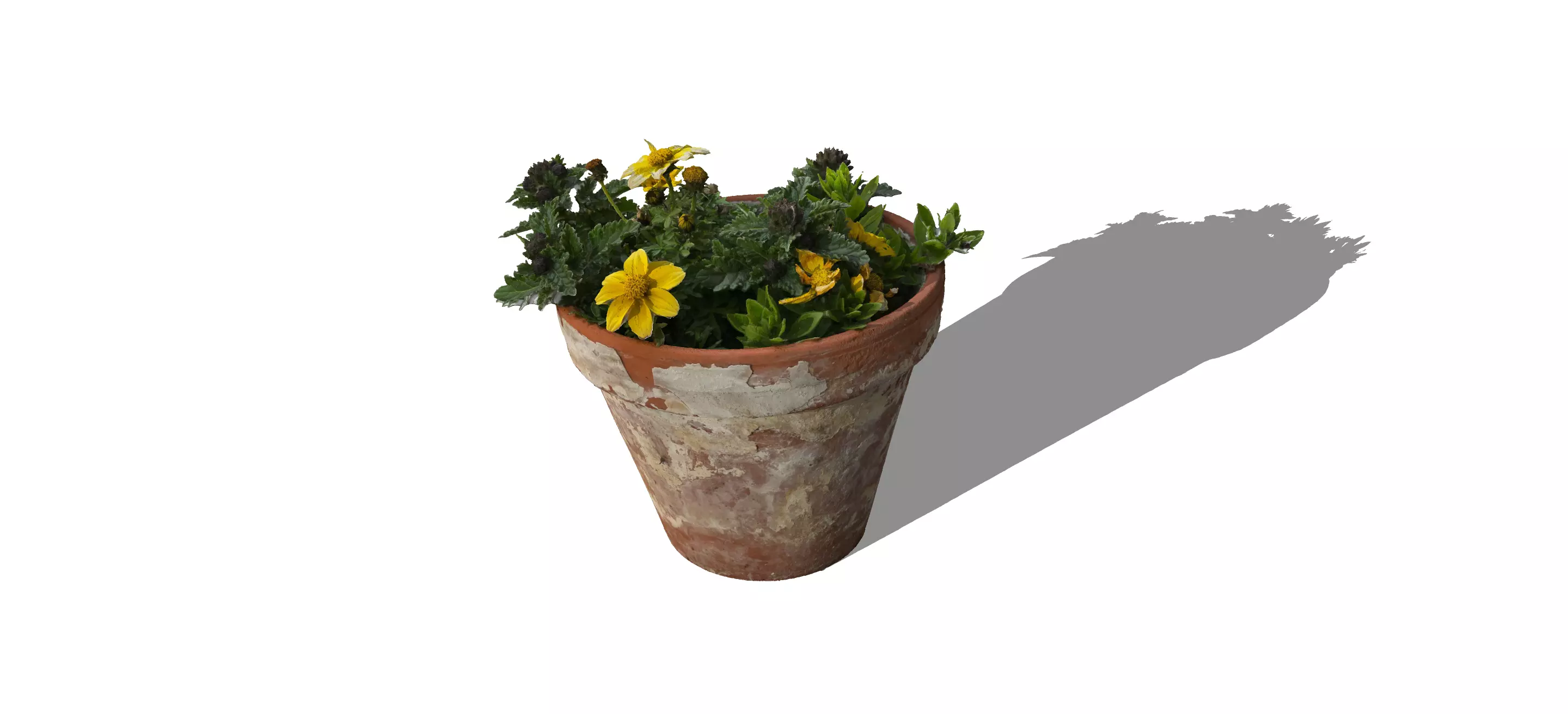Indoor Plant 3D Model Botanical Design Challenge STL OBJ FBX 3DS 3D model_0