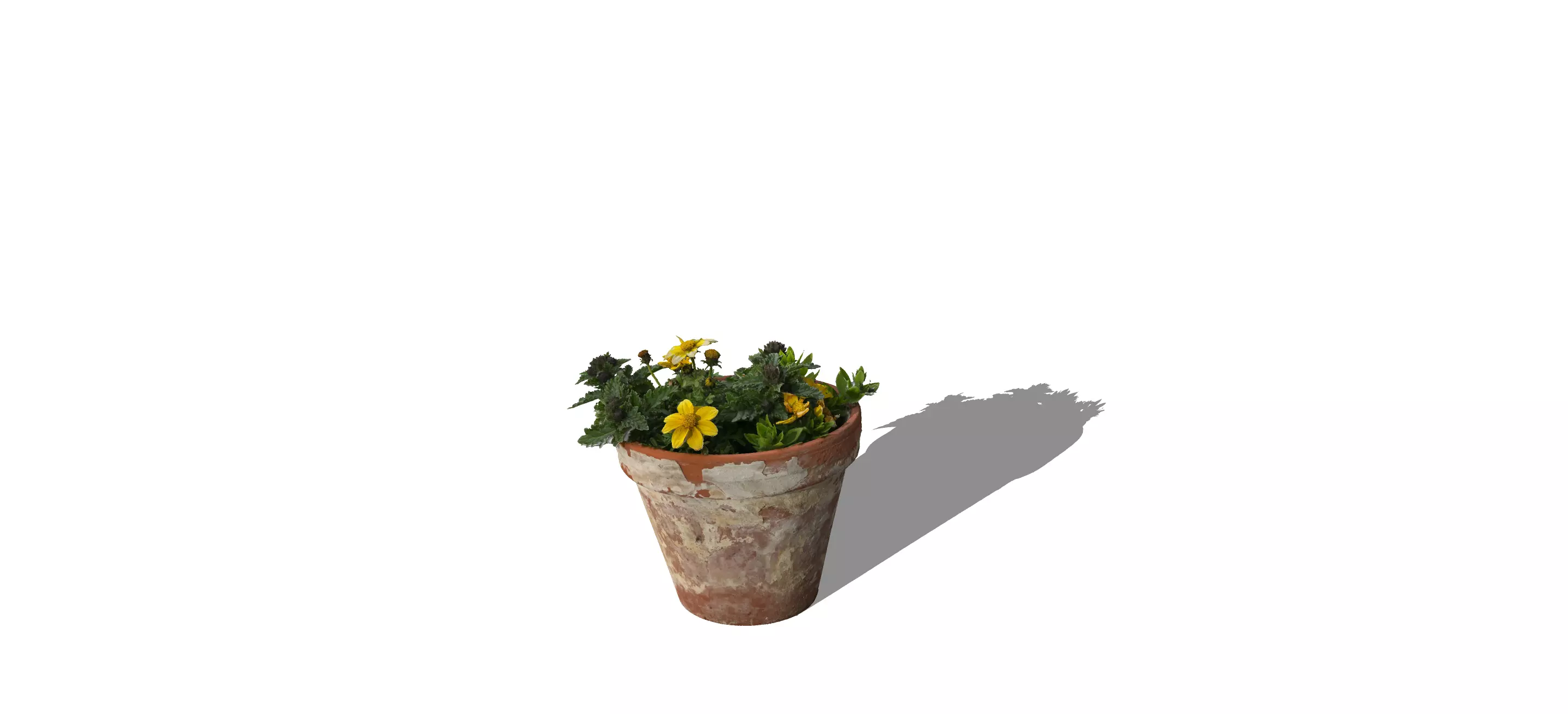 Indoor Plant 3D Model Botanical Design Challenge STL OBJ FBX 3DS 3D model_4