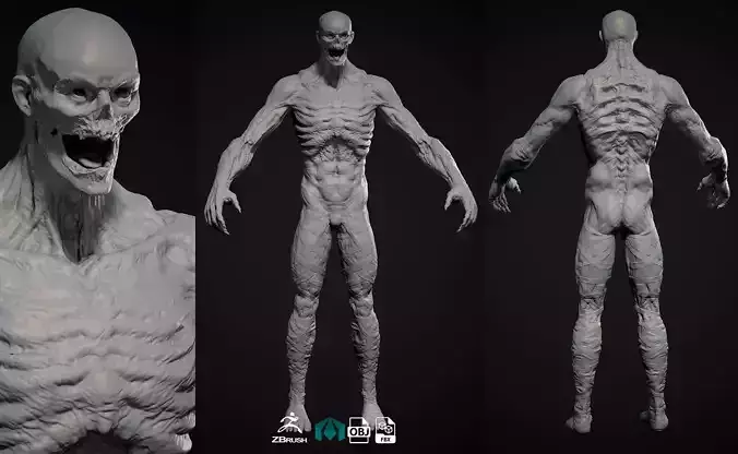 Highpoly Zombie basemesh Mesh Zbrush project