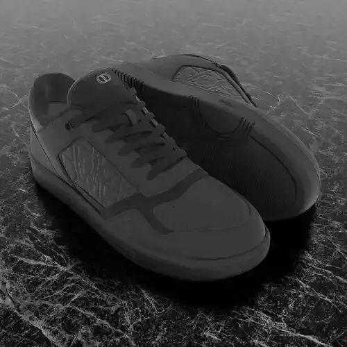 CHRISTIAN DIOR B28 UPTOWN LOW 3D SHOES