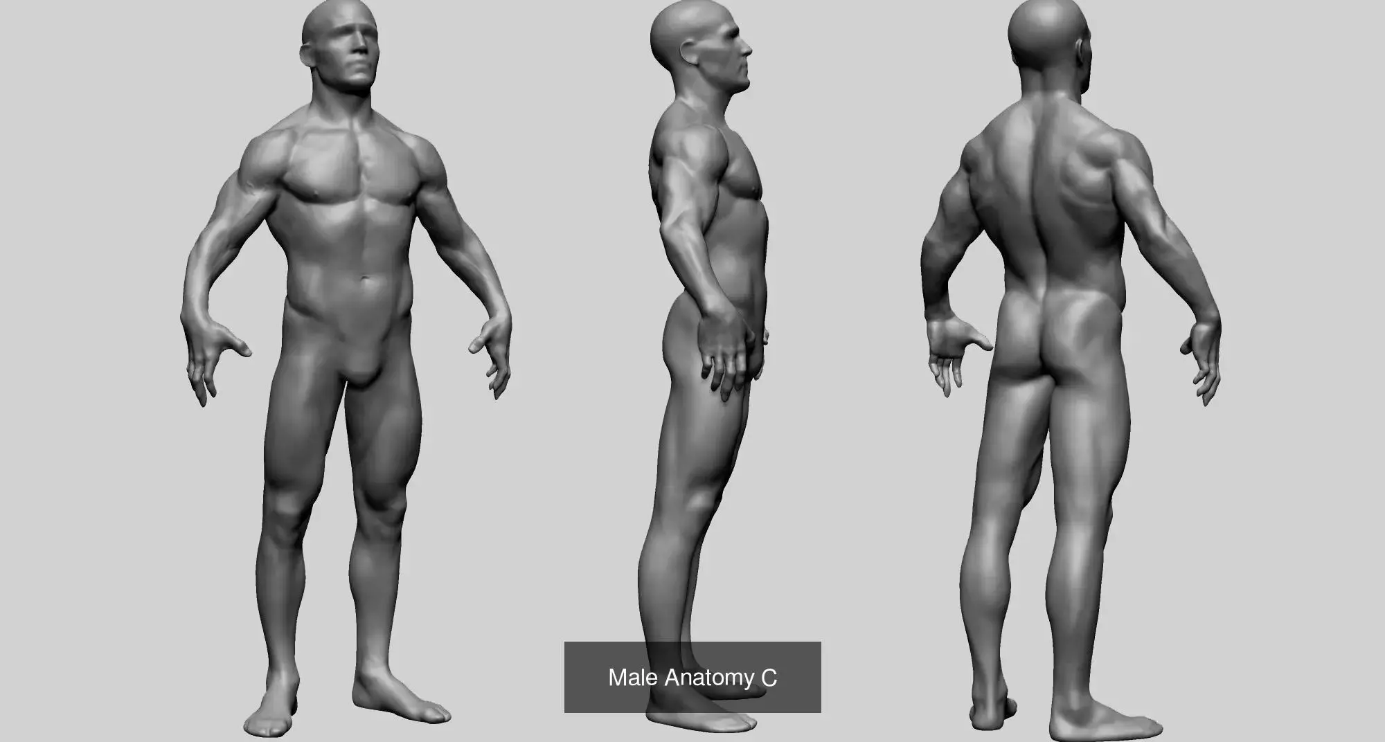 60 Character Models 3D Model Collection_63