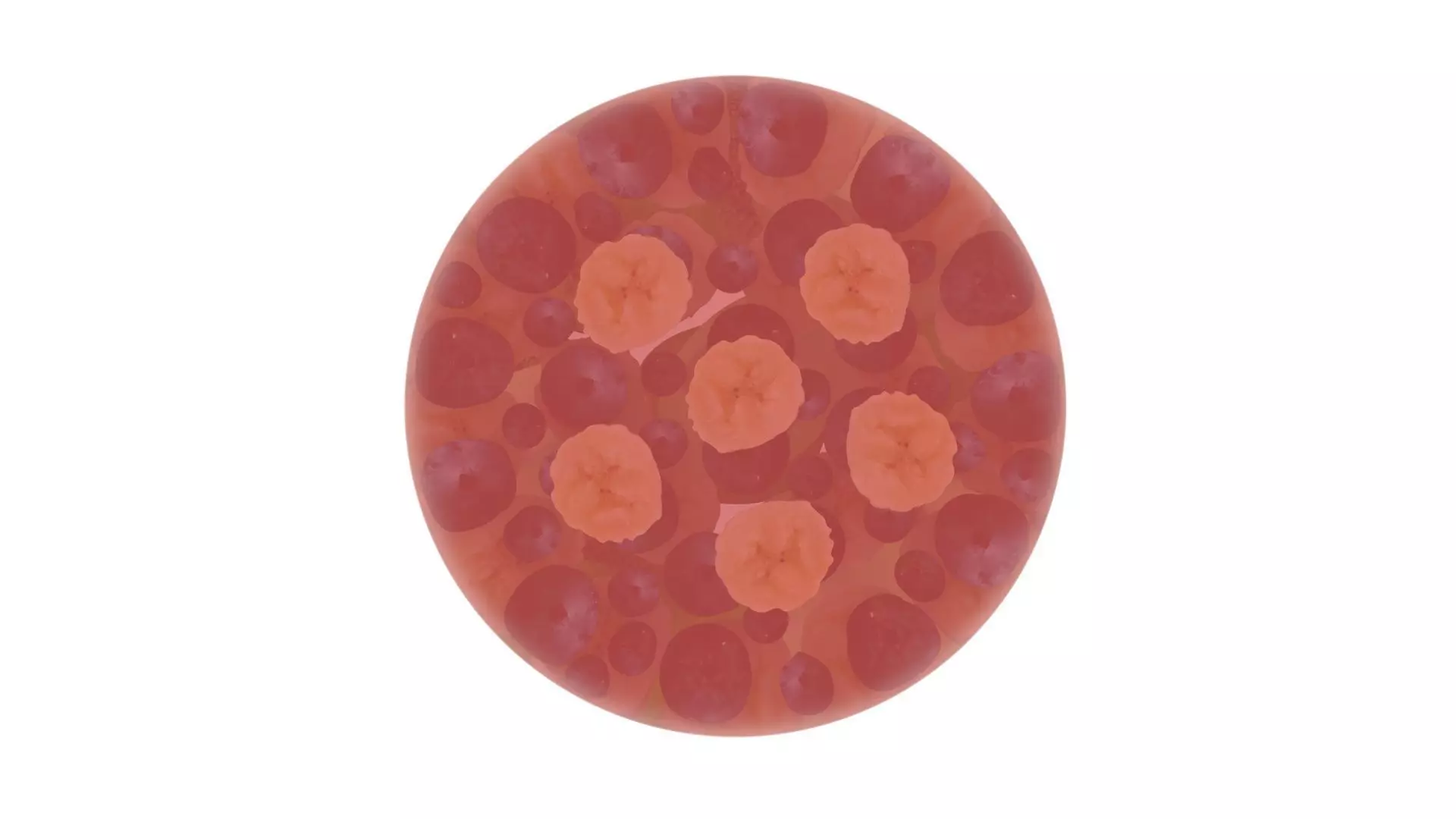 Fruit Jelly Cake 3D model_14