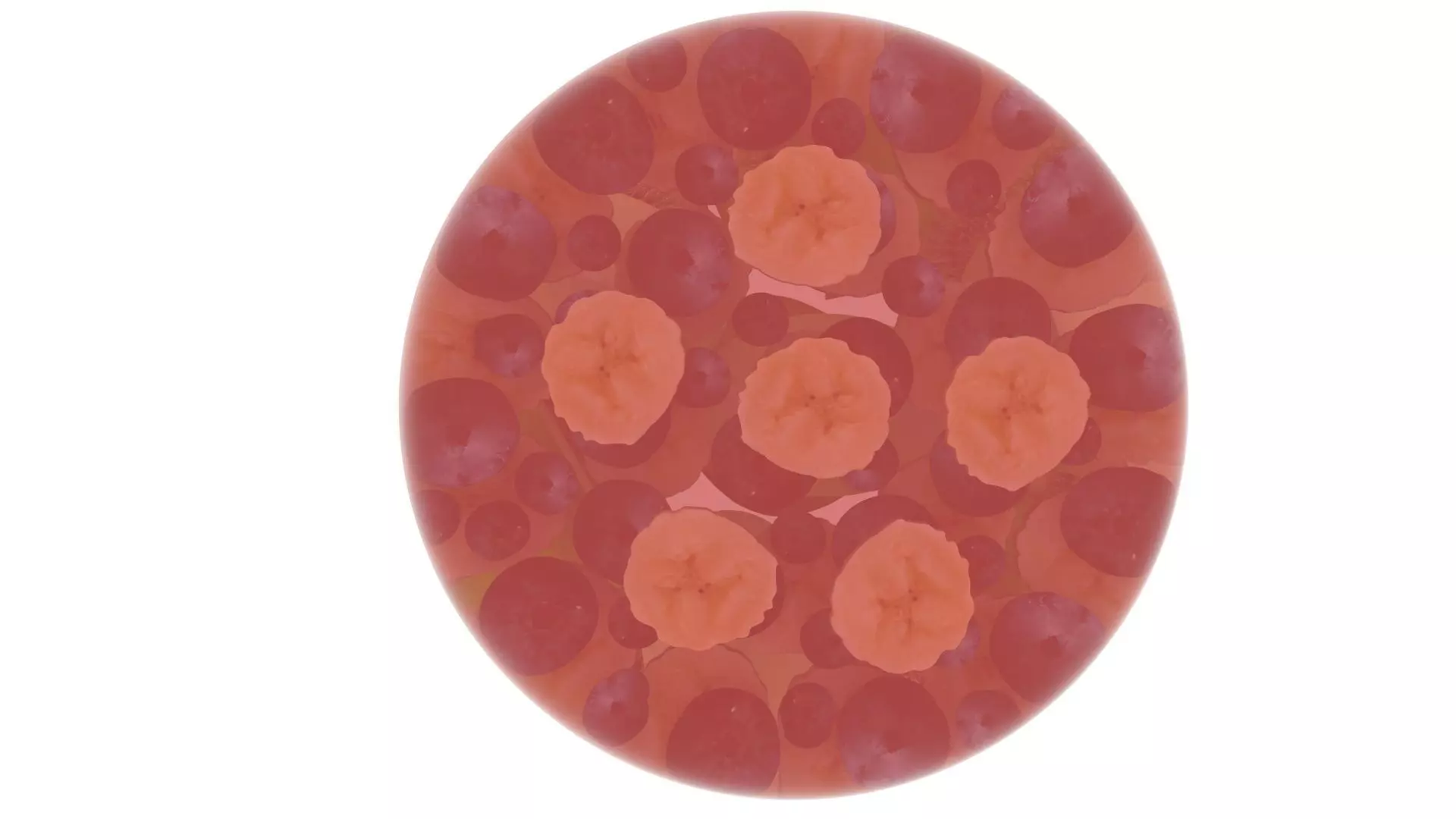 Fruit Jelly Cake 3D model_9