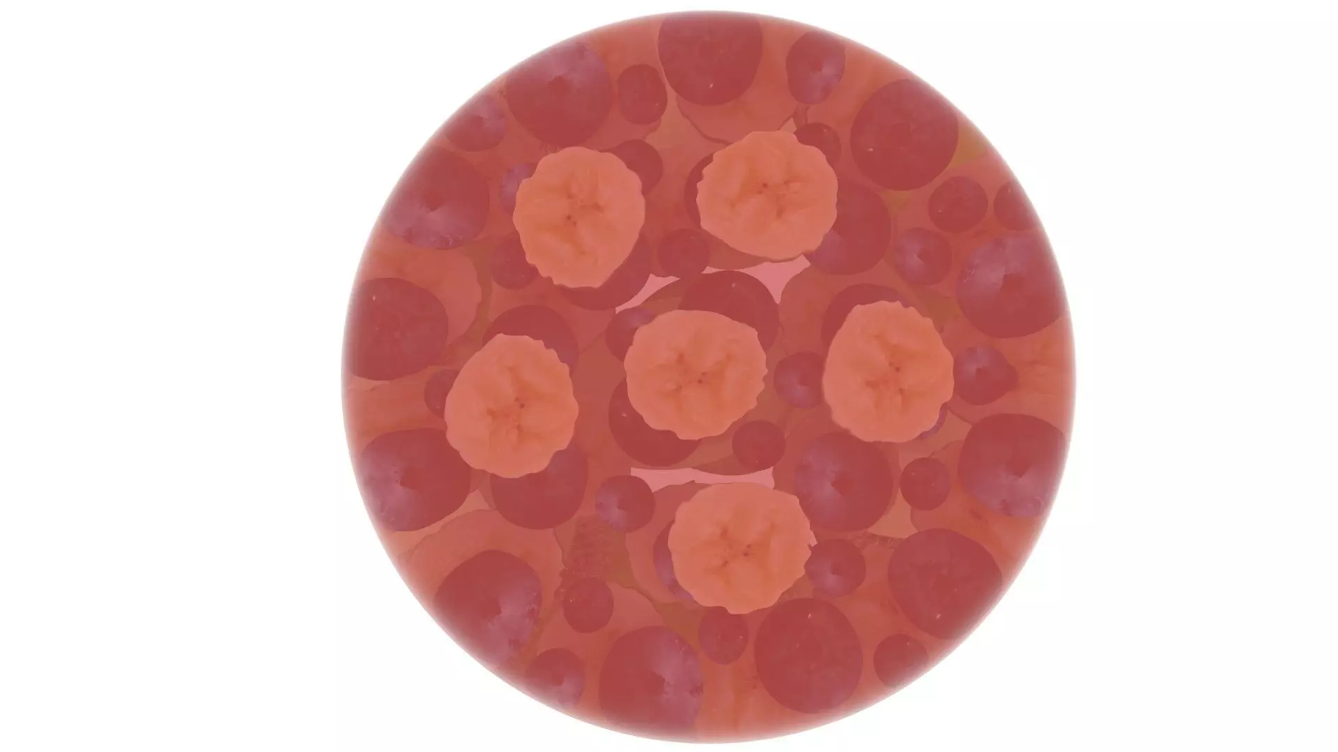 Fruit Jelly Cake 3D model_11