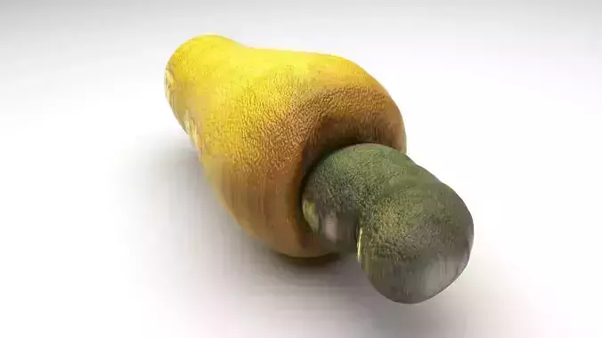 Cashew Fruit