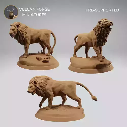 Lion models Bundle Lions roaring  stalking and walking