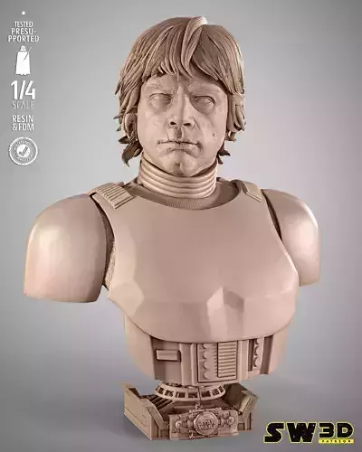 STAR WARS Luke Stromtrooper Portrait Bust