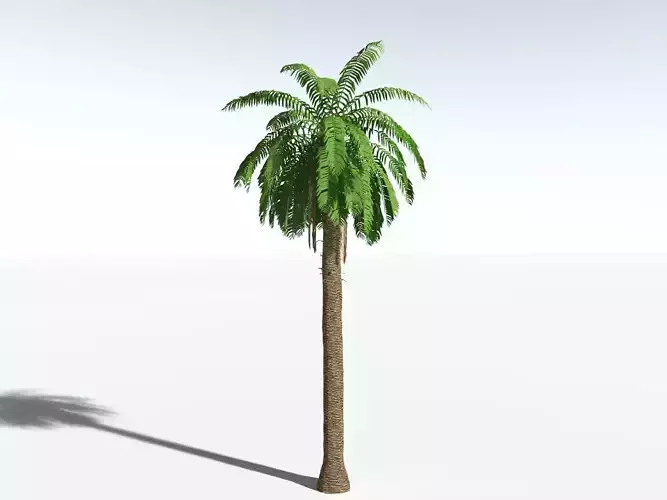EVERYPlant African Oil Palm LowPoly