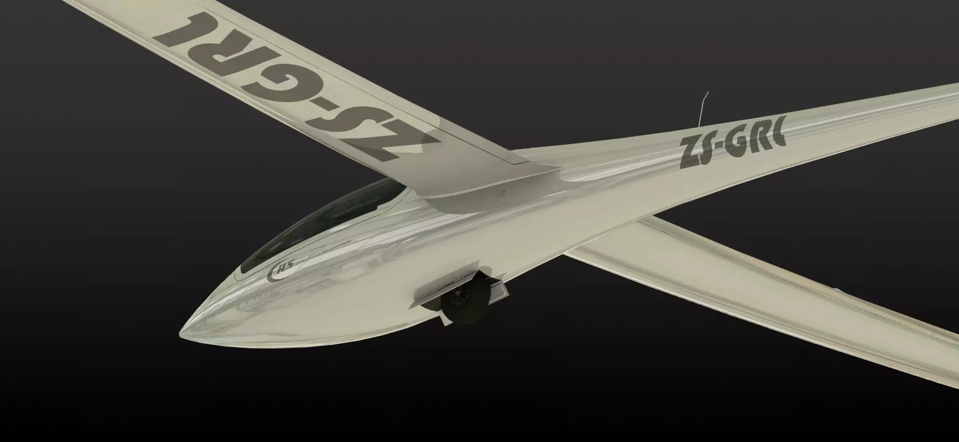 ASW 20 Glider Scale SolidWorks Model  3D model_4