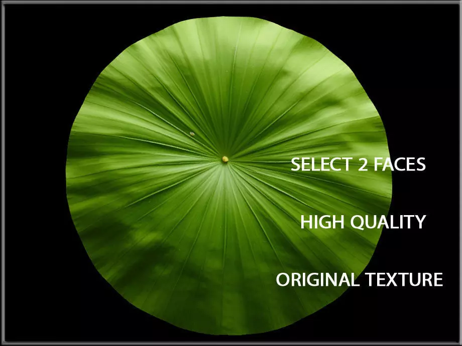 Lotus Leaf Low-poly 3D model_0