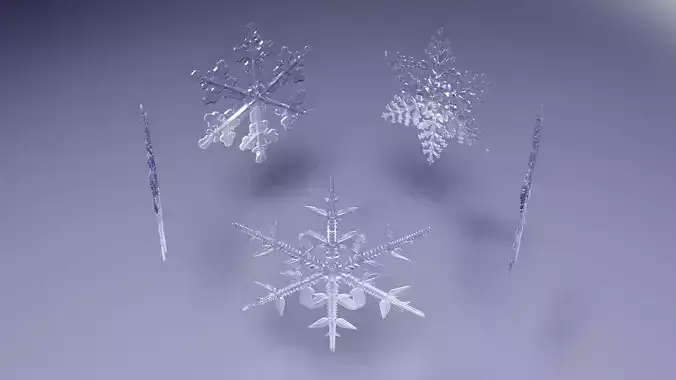 Snowflakes 3D model | CGTrader
