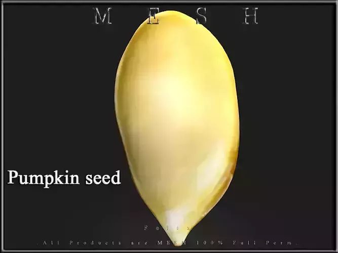 Pumpkin seed Low-poly 3D model