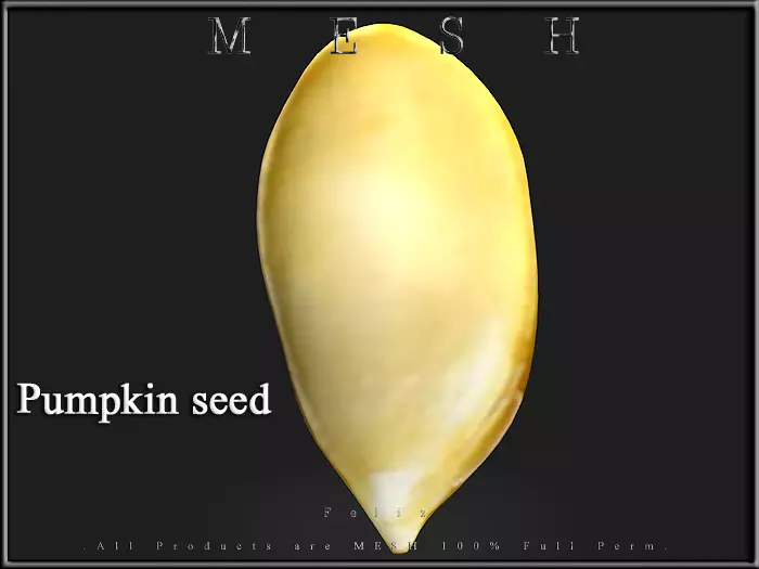 Pumpkin seed Low-poly 3D model_0