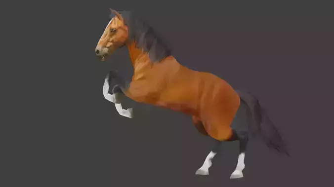 Jumping-Running-Walking Brown Horse 