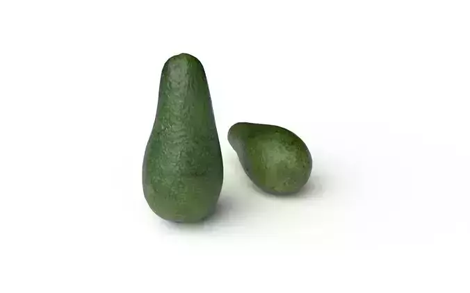 Avocado M01