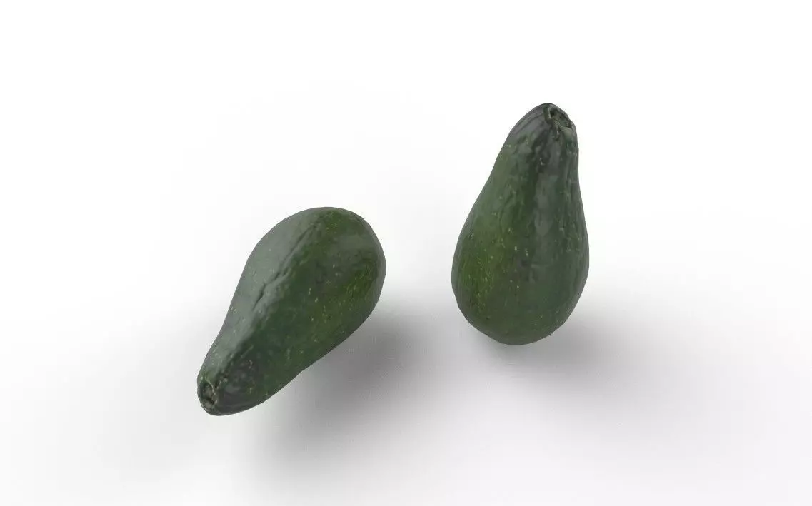 Avocado M02 Low-poly 3D model_4
