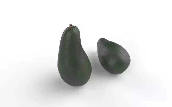 Avocado M03