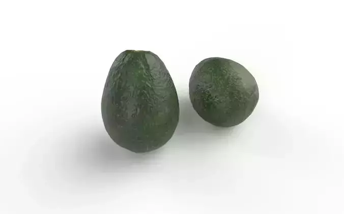 Avocado M04