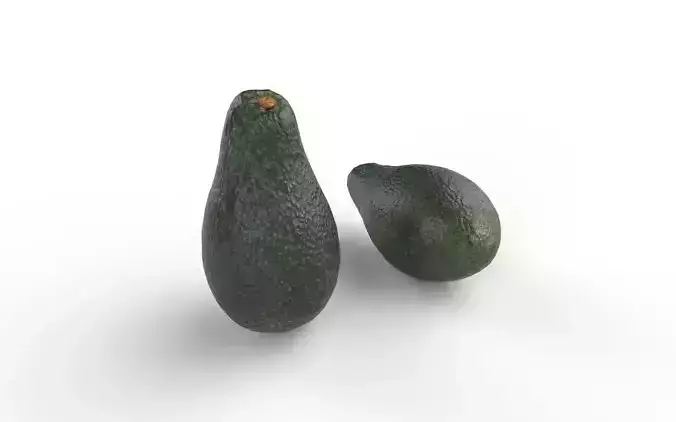 Avocado M05