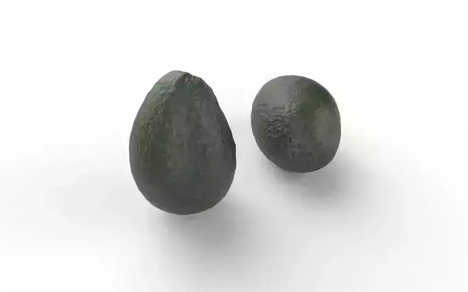 Avocado M06