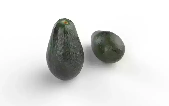 Avocado M08