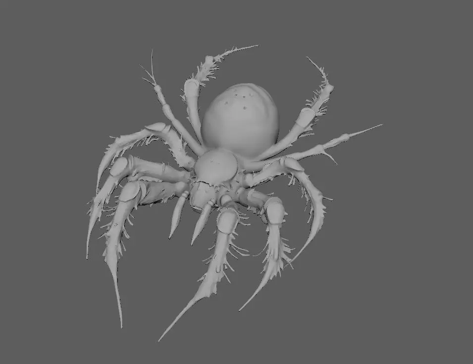 Spider 3D model_3