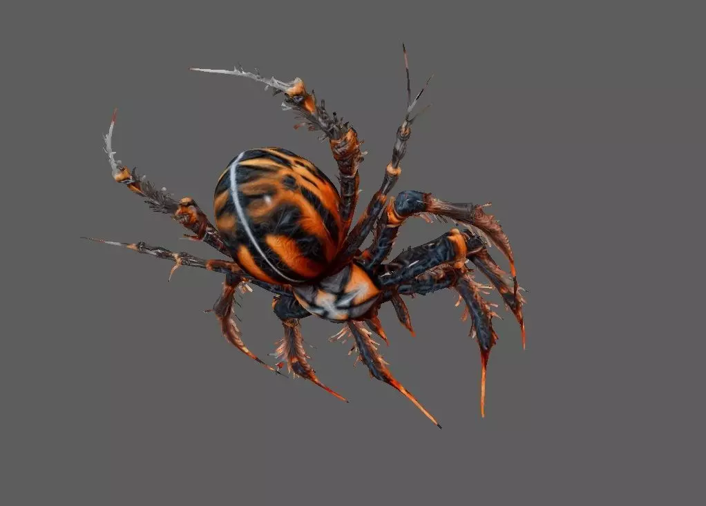 Spider 3D model_1
