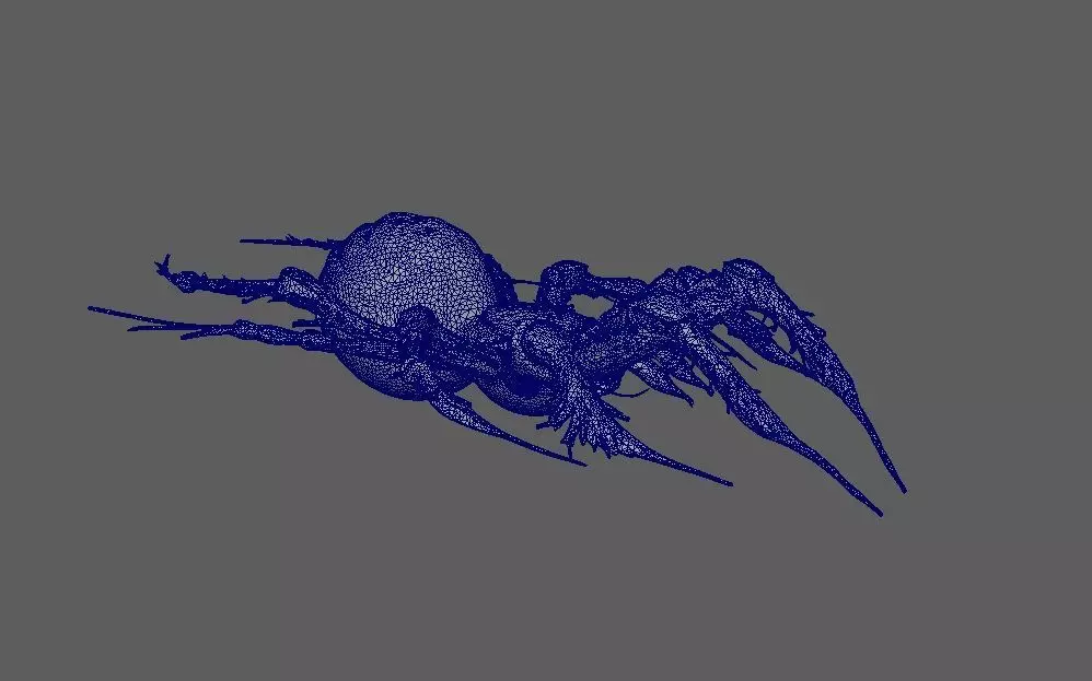 Spider 3D model_4