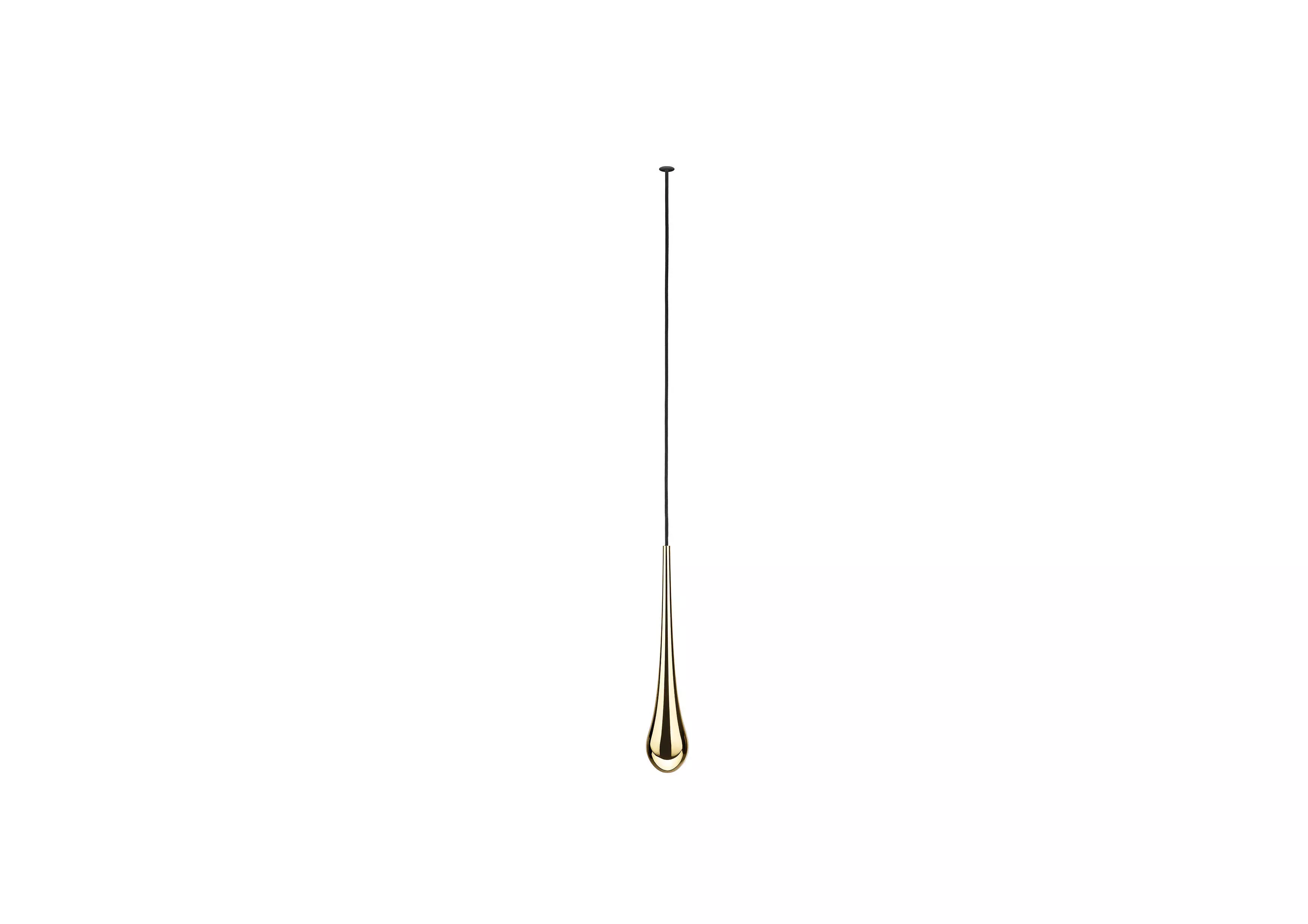 MOORGEN THE STAR OF SOUTH AFRICA SERIES Free 3D model_1