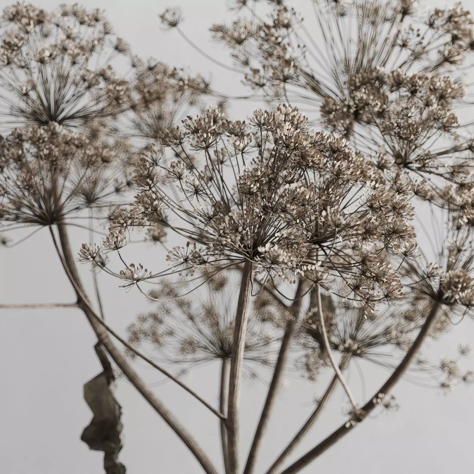 Decorative Set In A Rustic Style 3D model 3D model_3