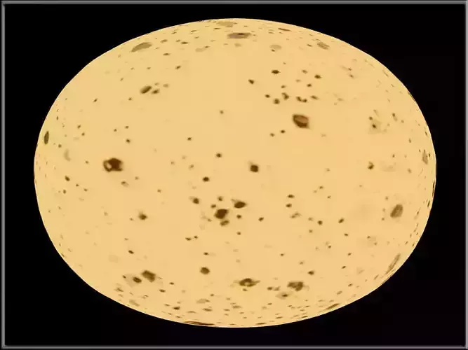 Eagle Egg Low-poly 3D model