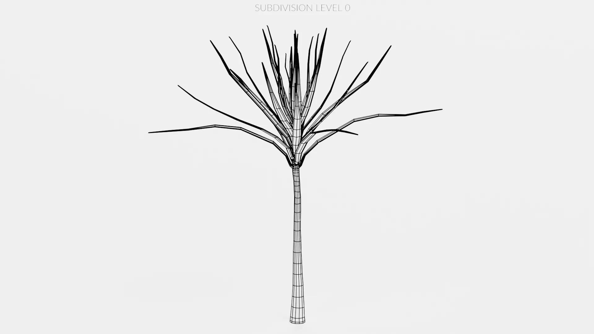 -Dracena V1- 3D model_8