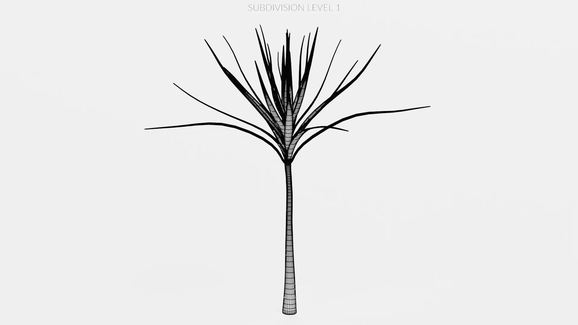 -Dracena V1- 3D model_9