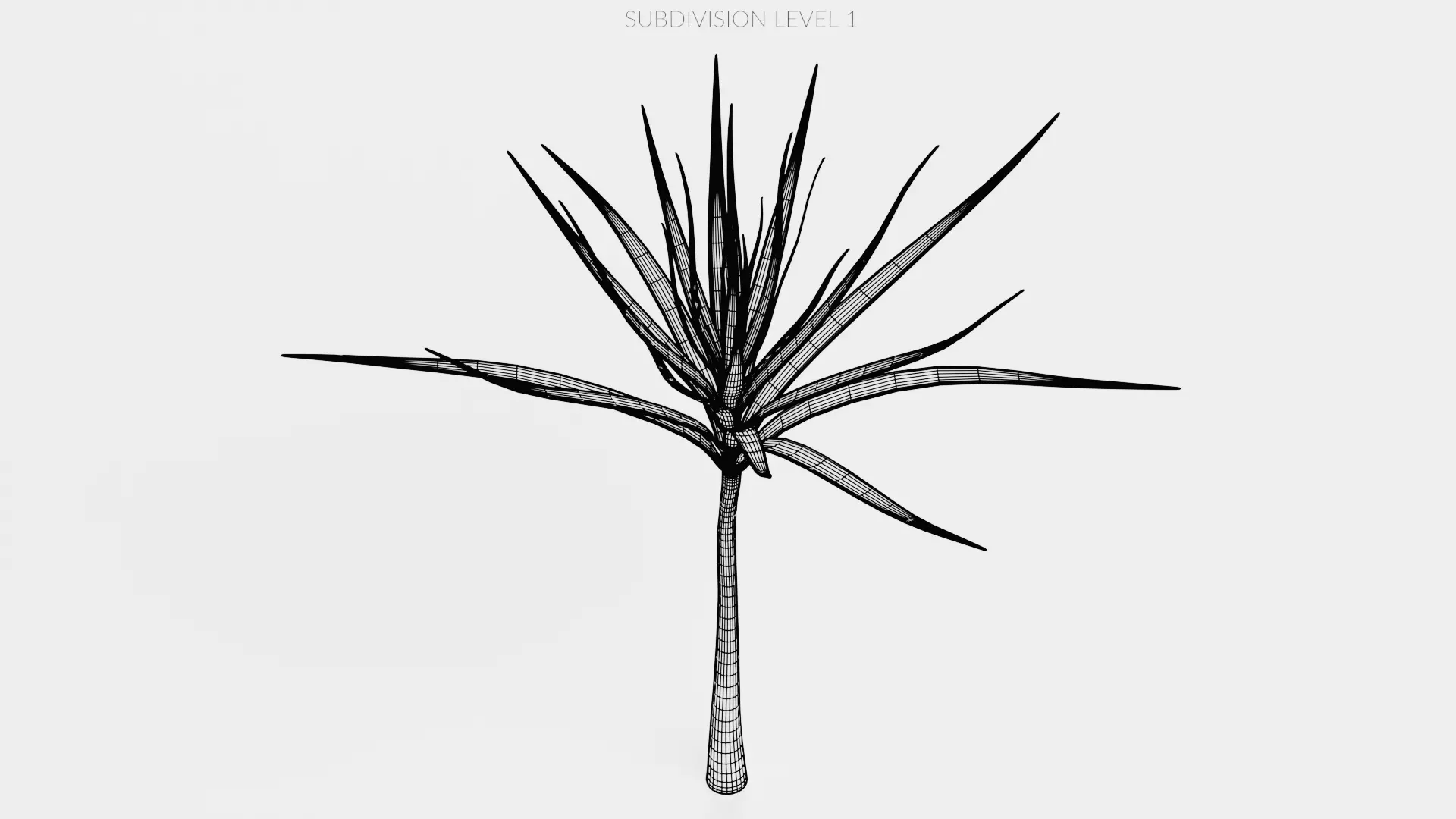 -Dracena V1- 3D model_11