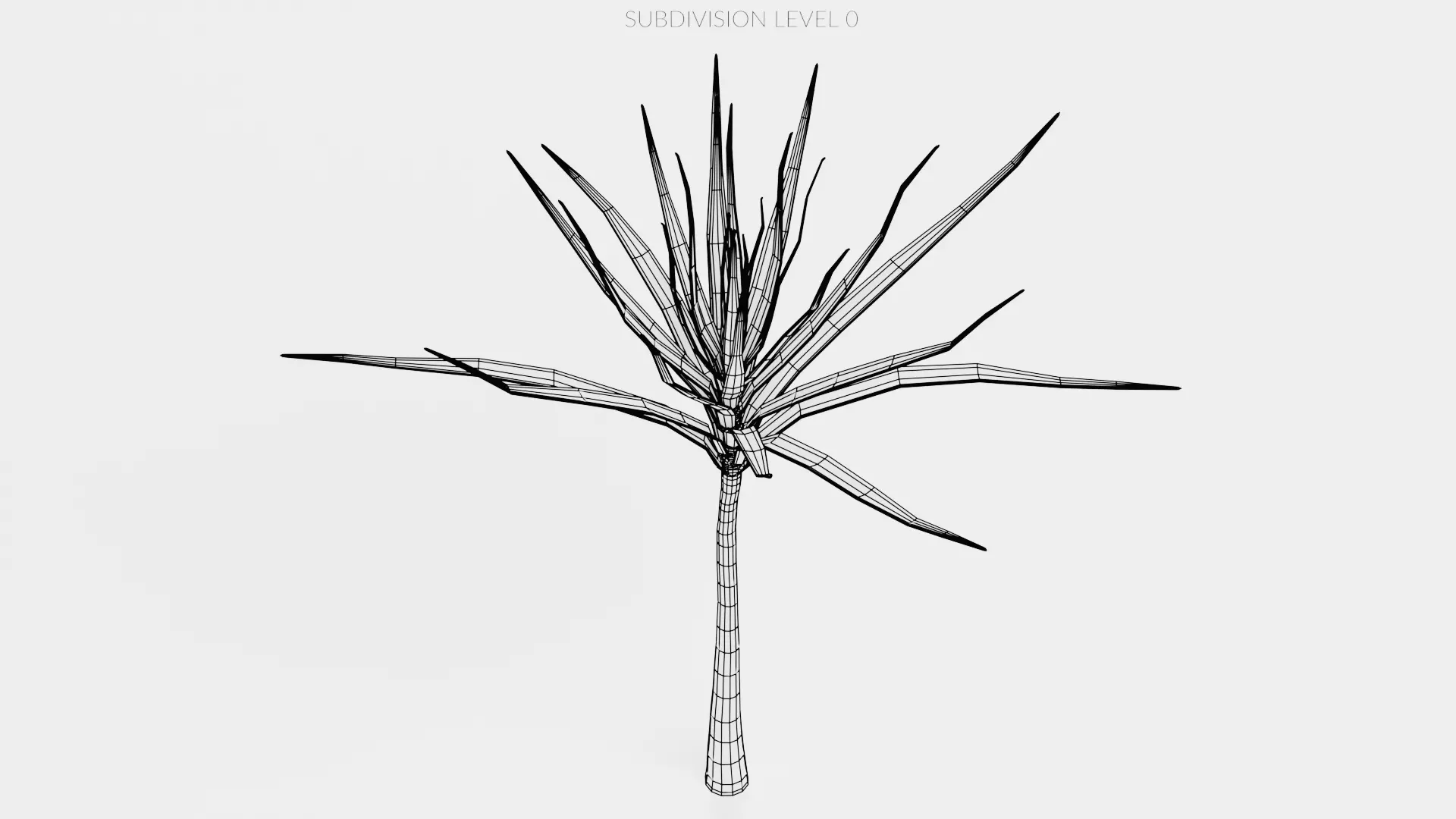 -Dracena V1- 3D model_10