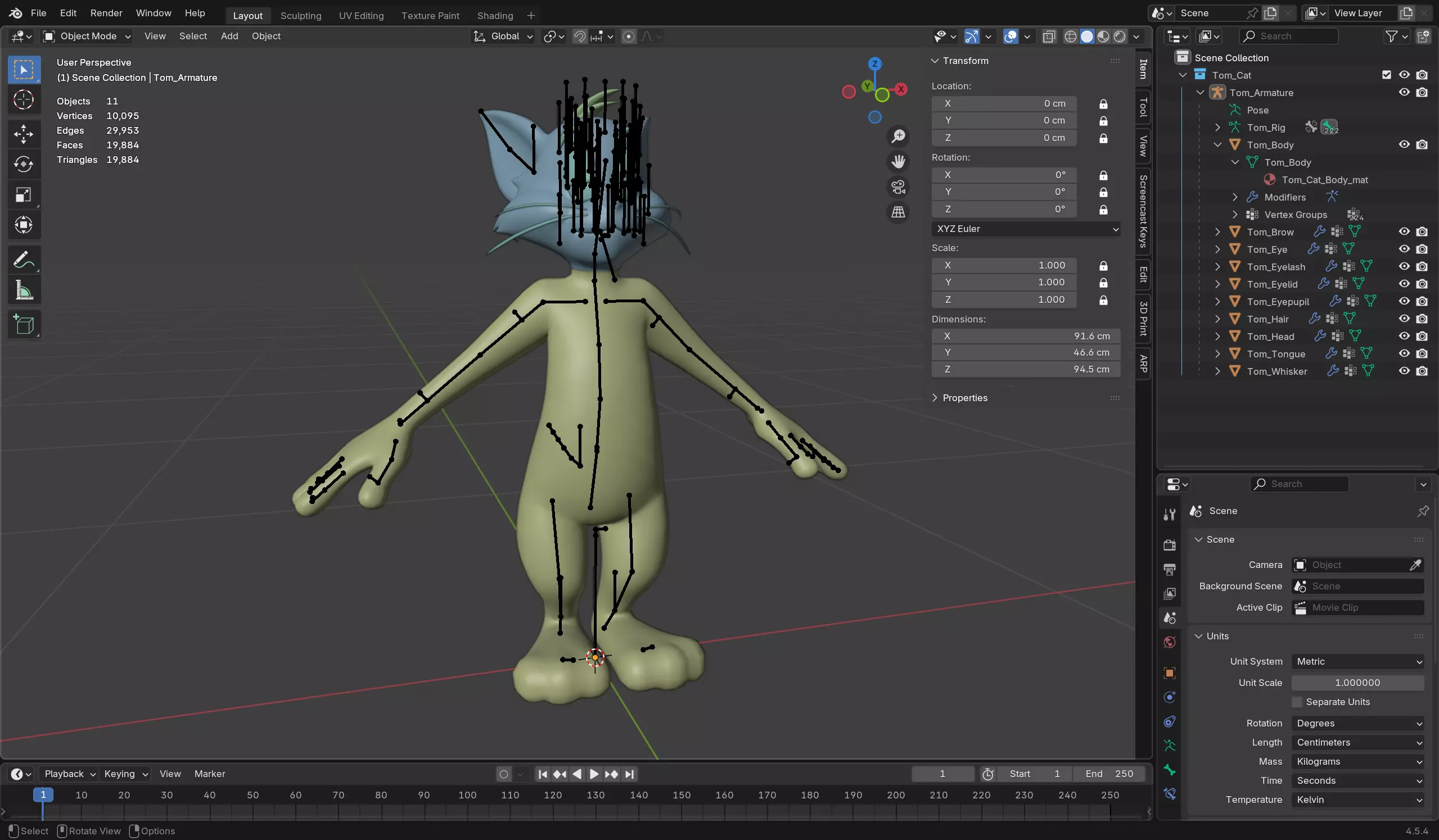 Tom Cat - Tom and Jerry Low-poly 3D model_12