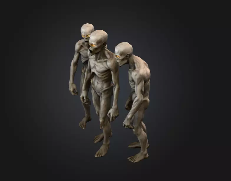 Hollowed Wanderer Low-poly 3D model_9