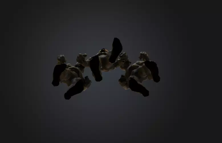 Hollowed Wanderer Low-poly 3D model_15