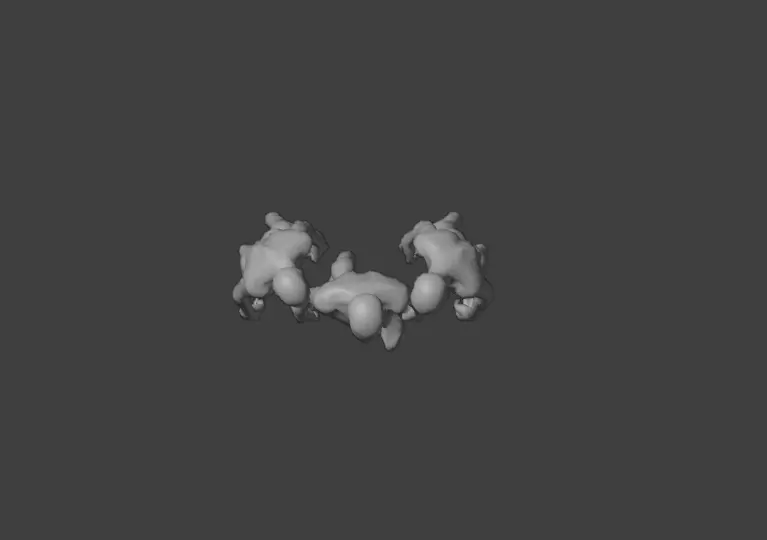 Hollowed Wanderer Low-poly 3D model_20