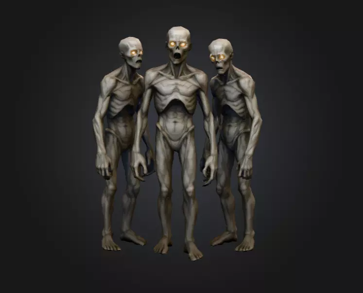 Hollowed Wanderer Low-poly 3D model_0