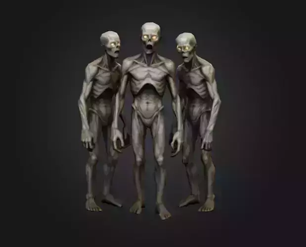 Hollowed Wanderer Low-poly 3D model Hollowed Wanderer Low-poly 3D model