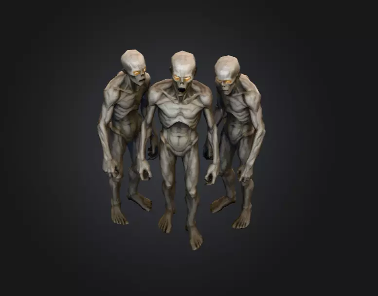 Hollowed Wanderer Low-poly 3D model_8